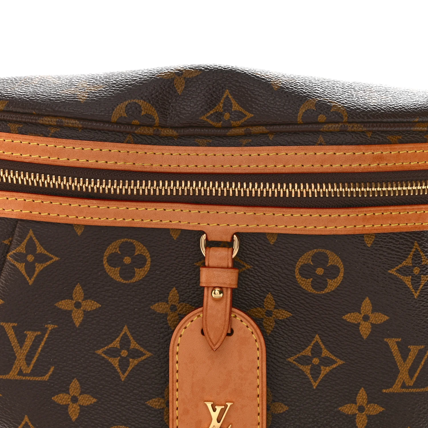 Monogram High Rise Bumbag - Image 7