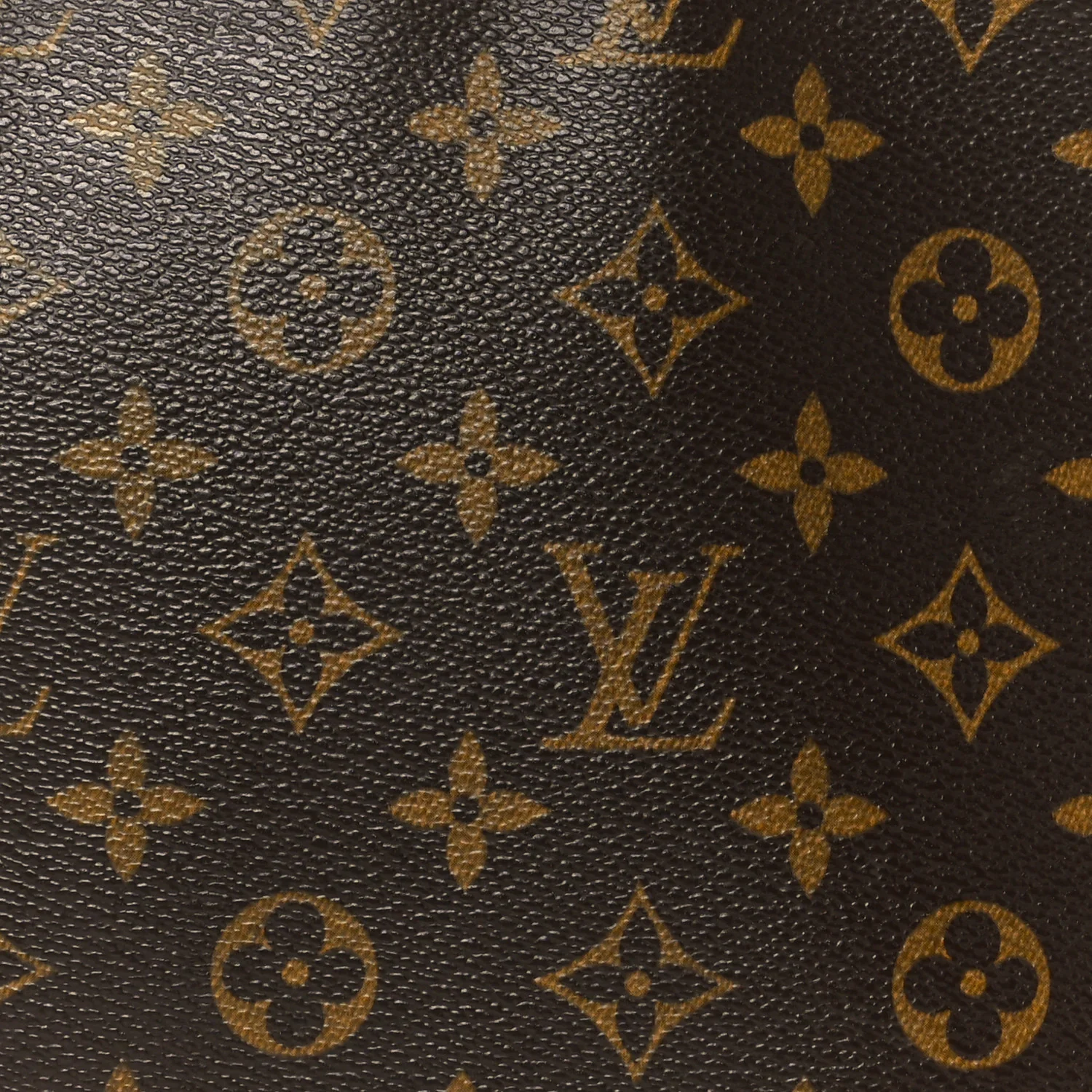 Monogram Looping MM - Image 8