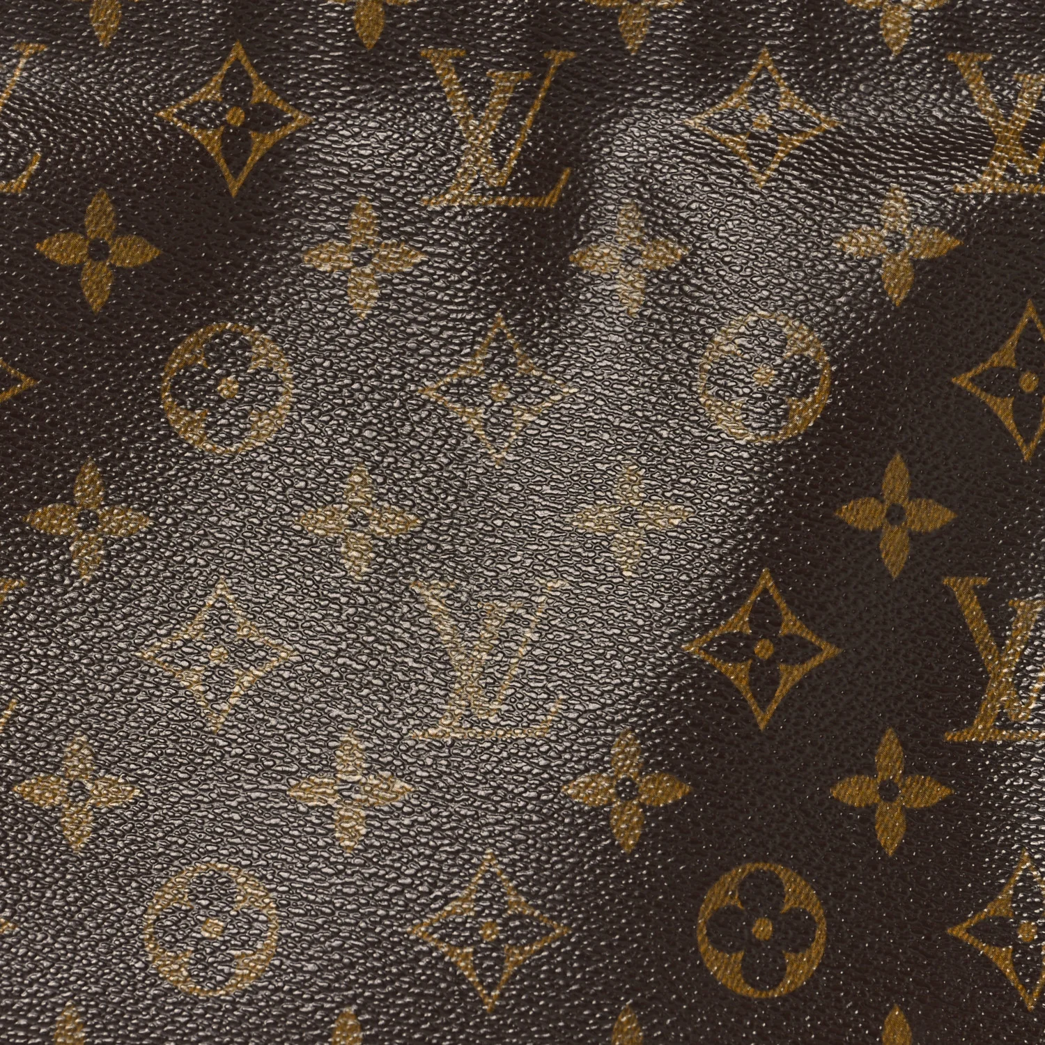 Monogram Looping MM - Image 7