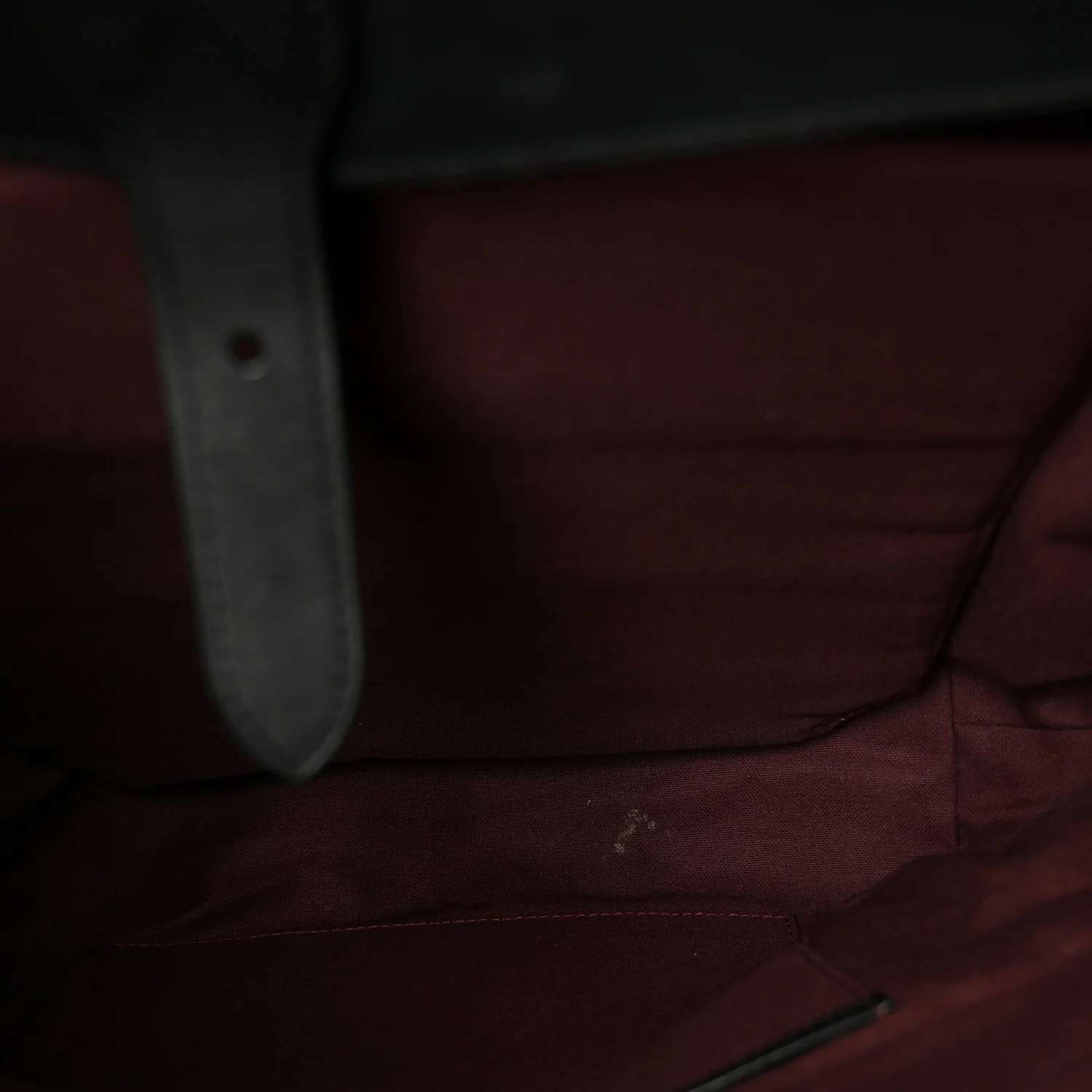 Monogram Macassar Palk Backpack - Image 5