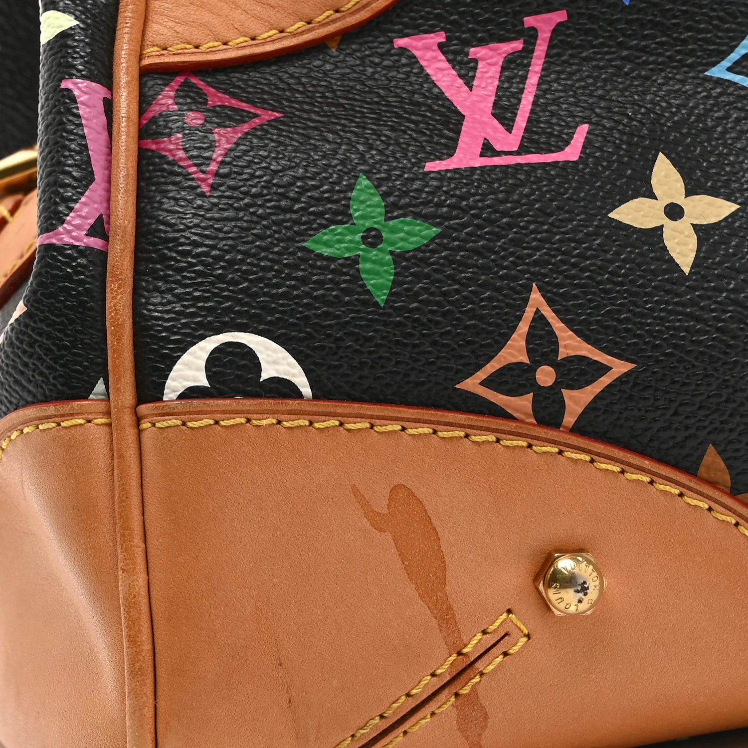 Monogram Multicolor Claudia Black - Image 11