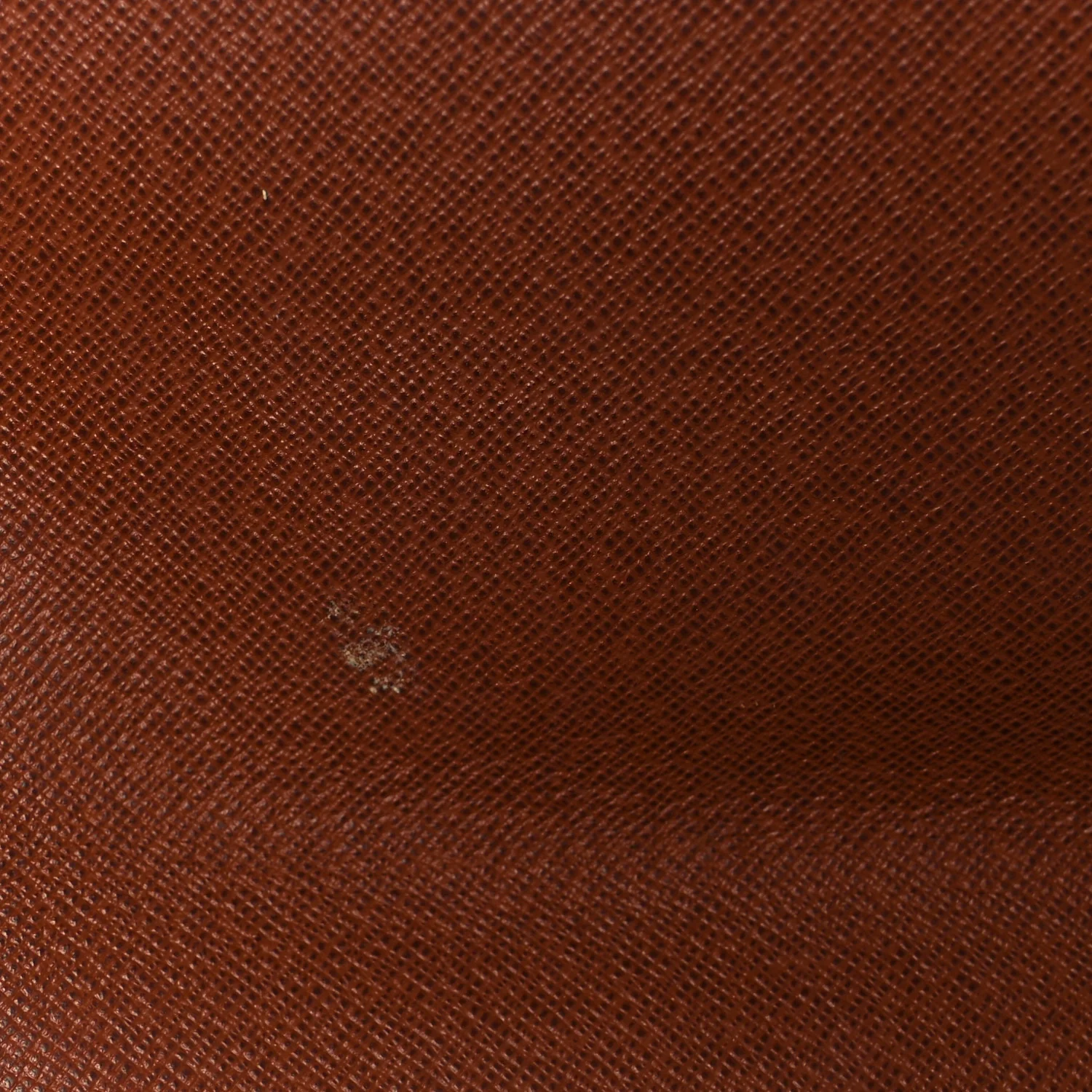 Monogram Musette Tango - Image 11