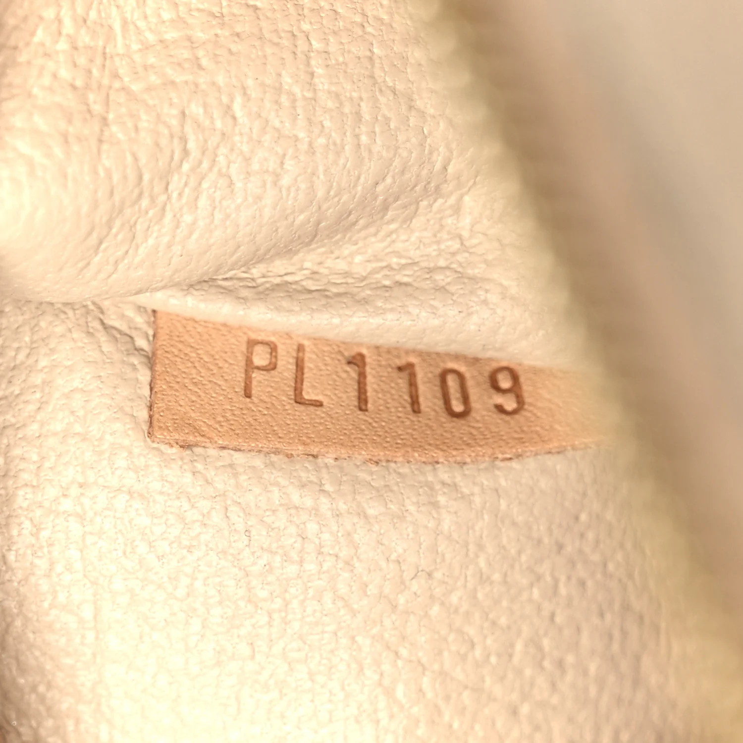 Monogram Nice BB - Image 7