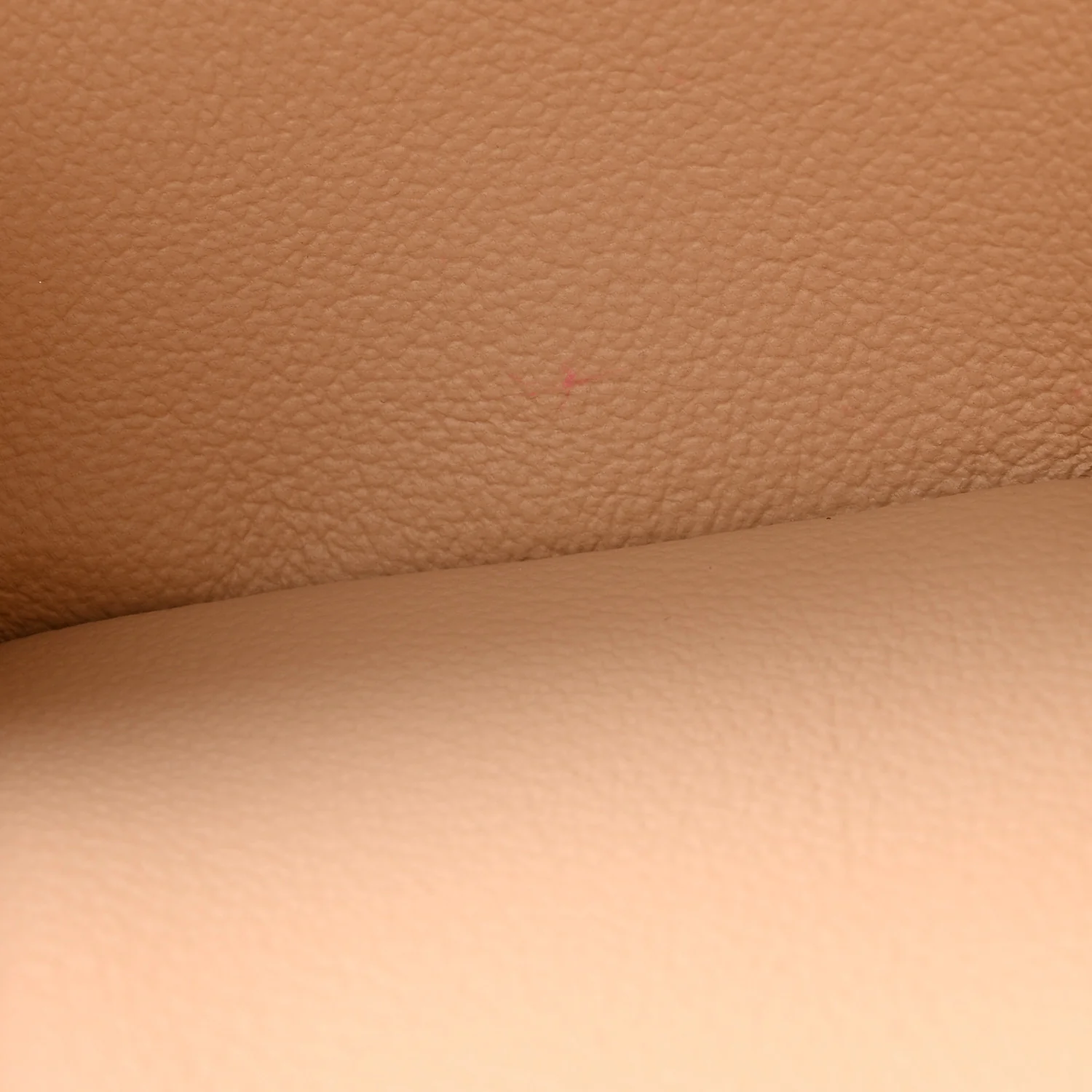 Monogram Nice Mini - Image 7