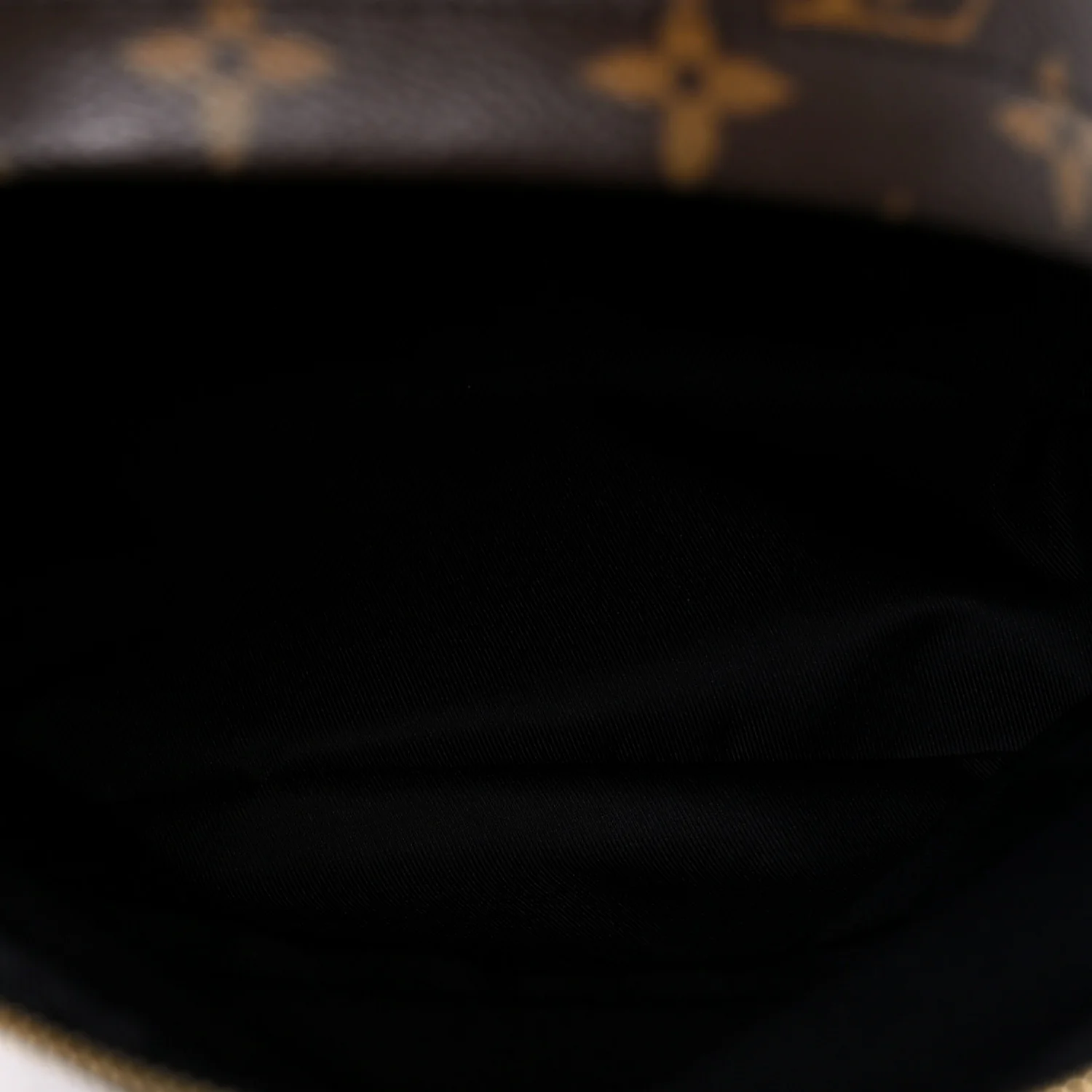 Monogram Palm Springs Backpack MM - Image 5