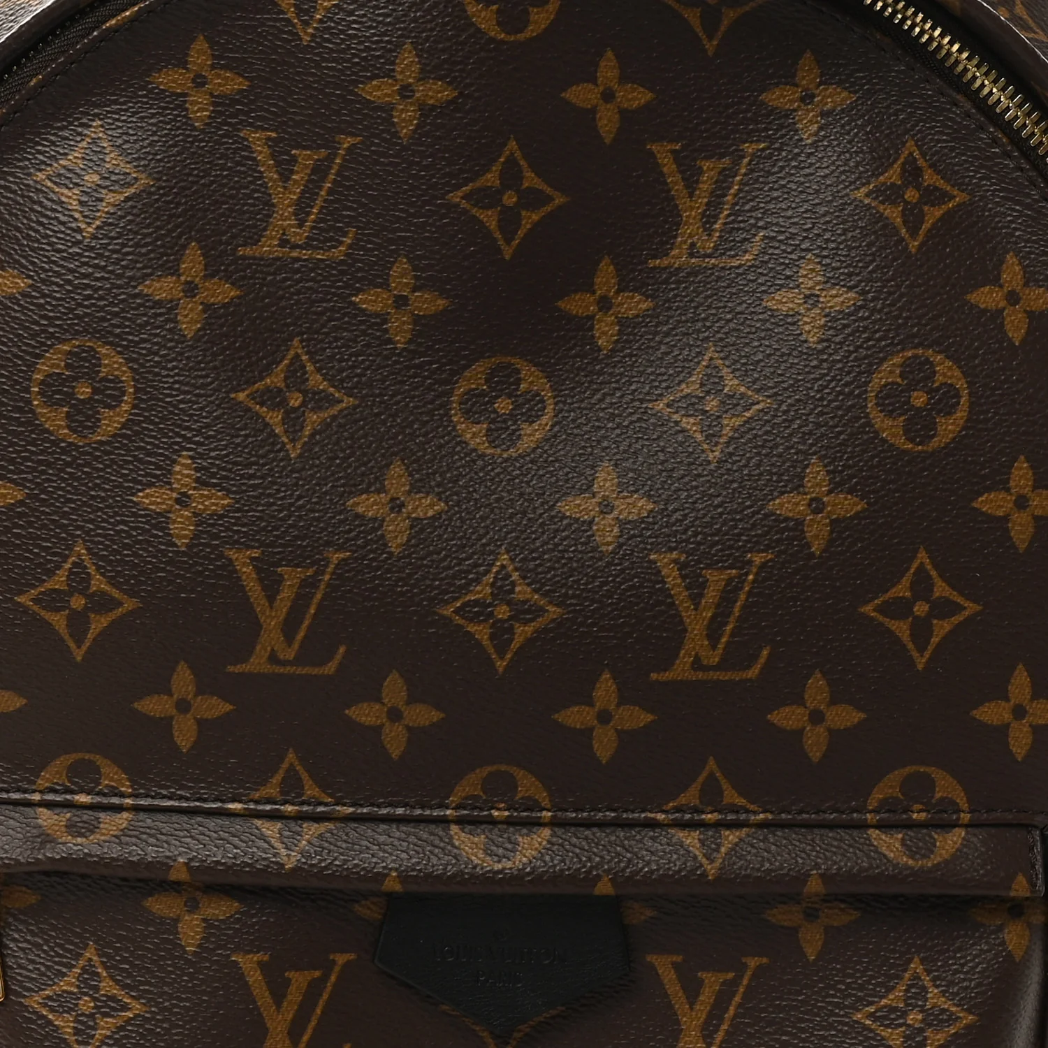 Monogram Palm Springs Backpack MM - Image 7