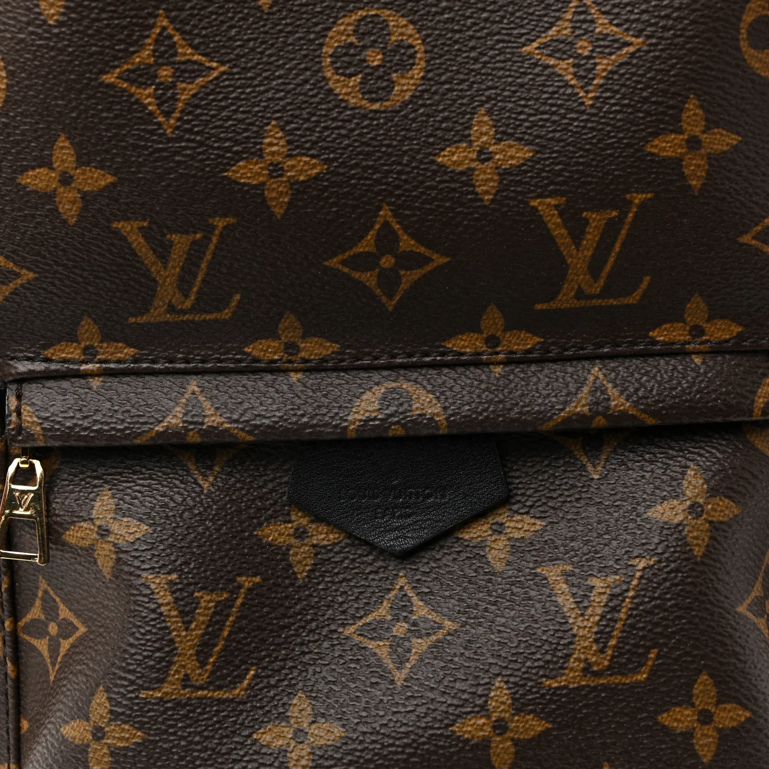 Monogram Palm Springs Backpack PM - Image 7