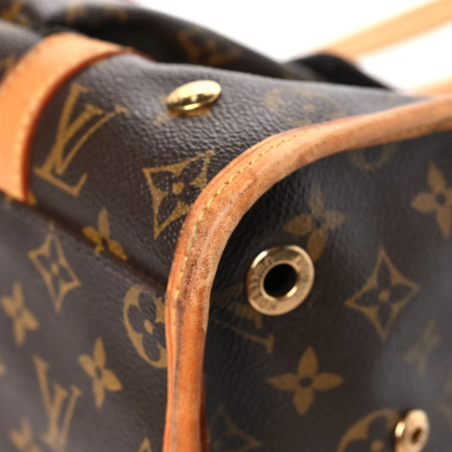 Monogram Sac Baxter PM Dog Pet Carrier - Image 10