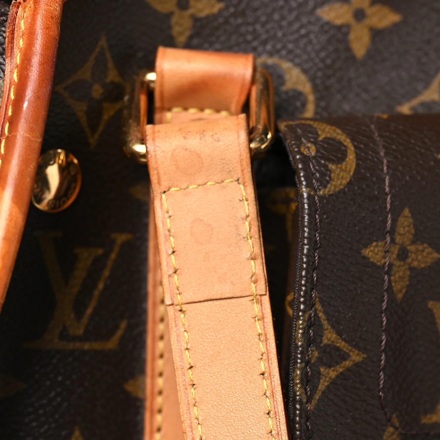 Monogram Sac Baxter PM Dog Pet Carrier - Image 14
