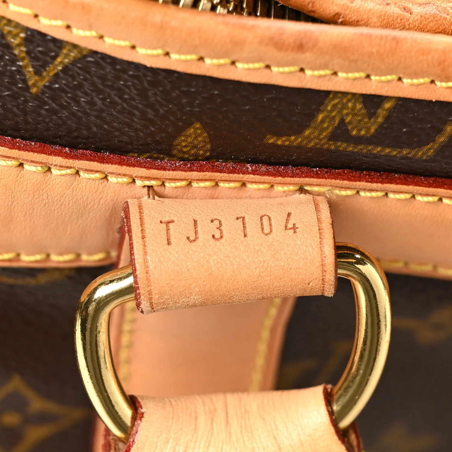 Monogram Sac Chien 40 Pet Carrier - Image 6