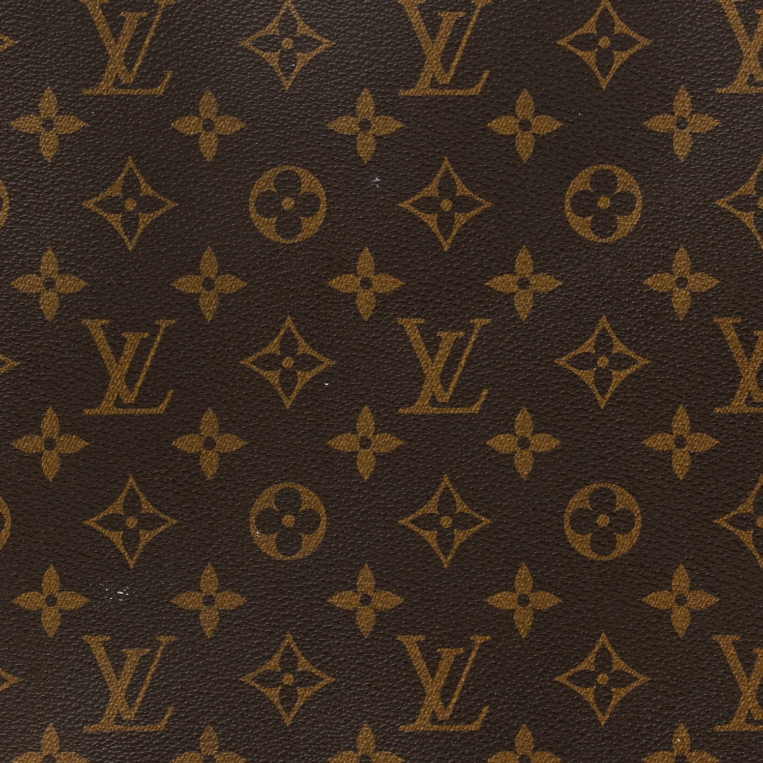 Monogram Sac Plat - Image 10