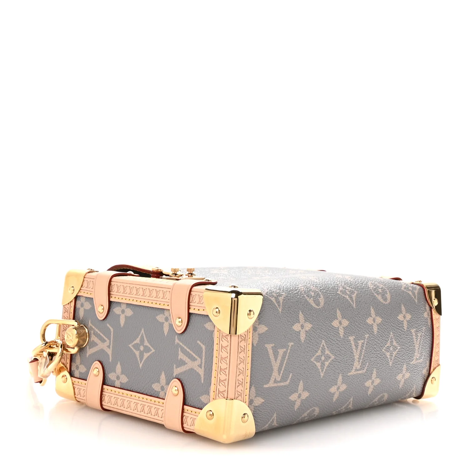 Monogram Side Trunk MM - Image 4