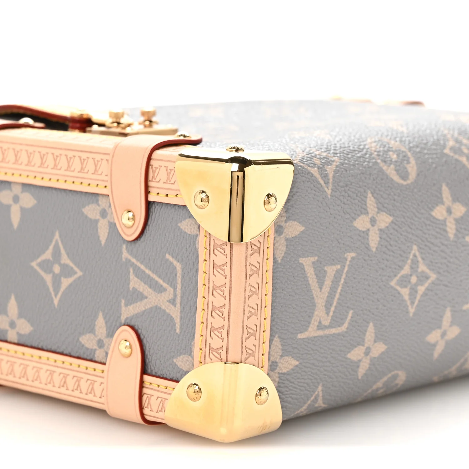 Monogram Side Trunk MM - Image 8