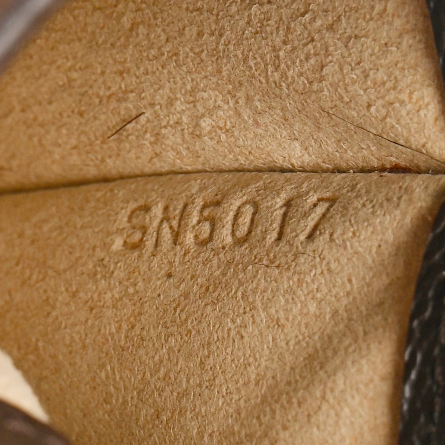 Monogram Sunglasses Case MM - Image 7