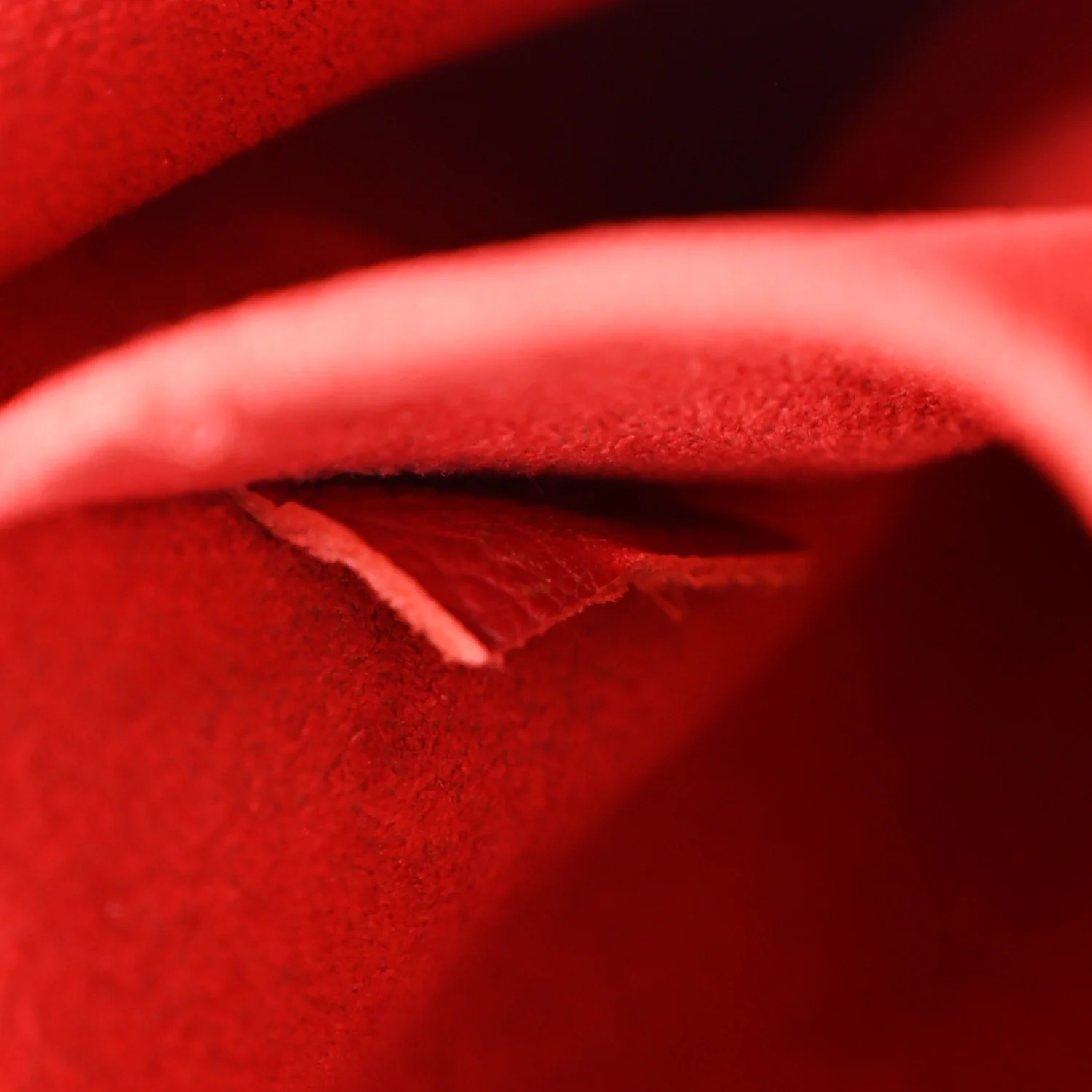 Monogram Surene MM Cherry - Image 9