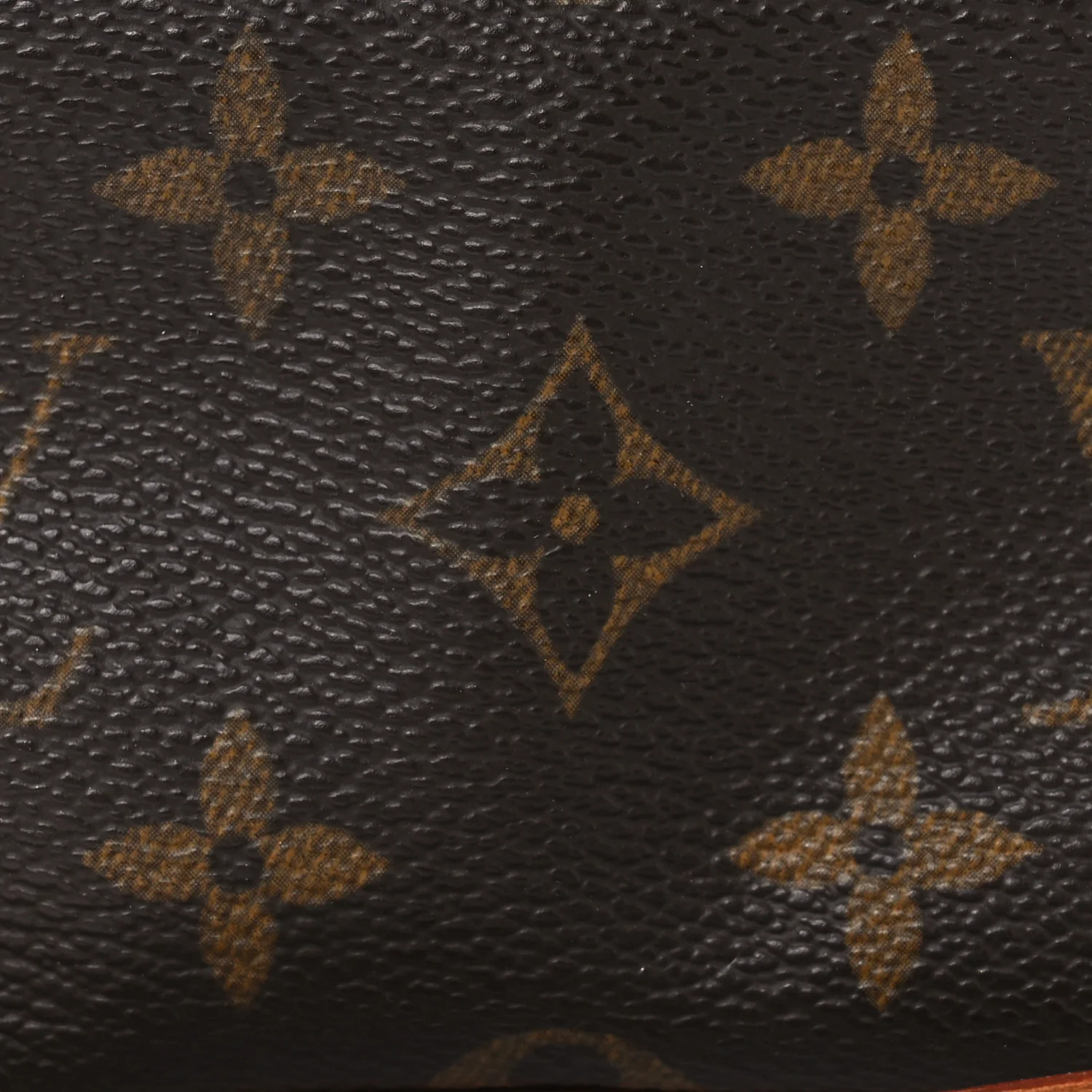Monogram Wapity - Image 7