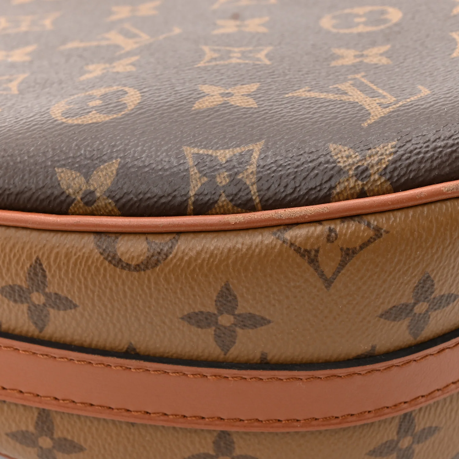 Reverse Monogram Loop Hobo - Image 11