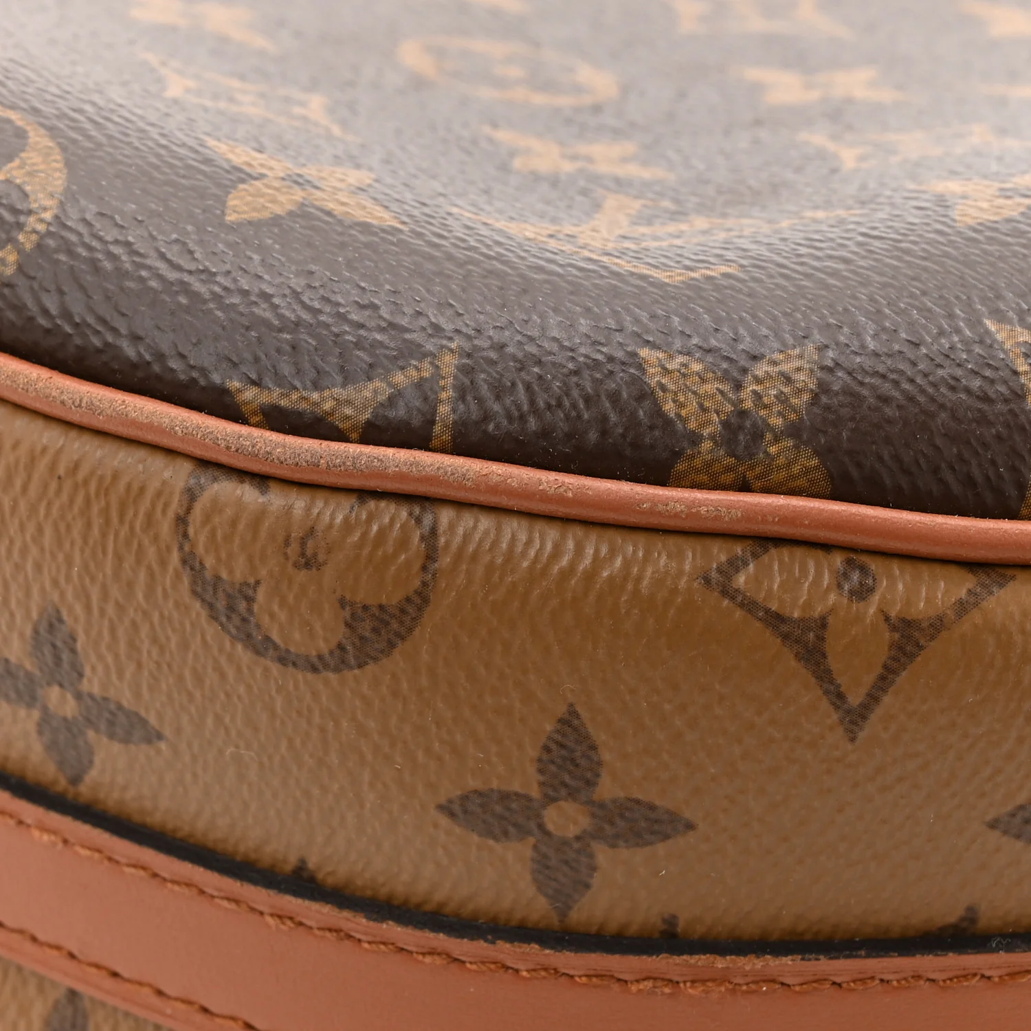 Reverse Monogram Loop Hobo - Image 12