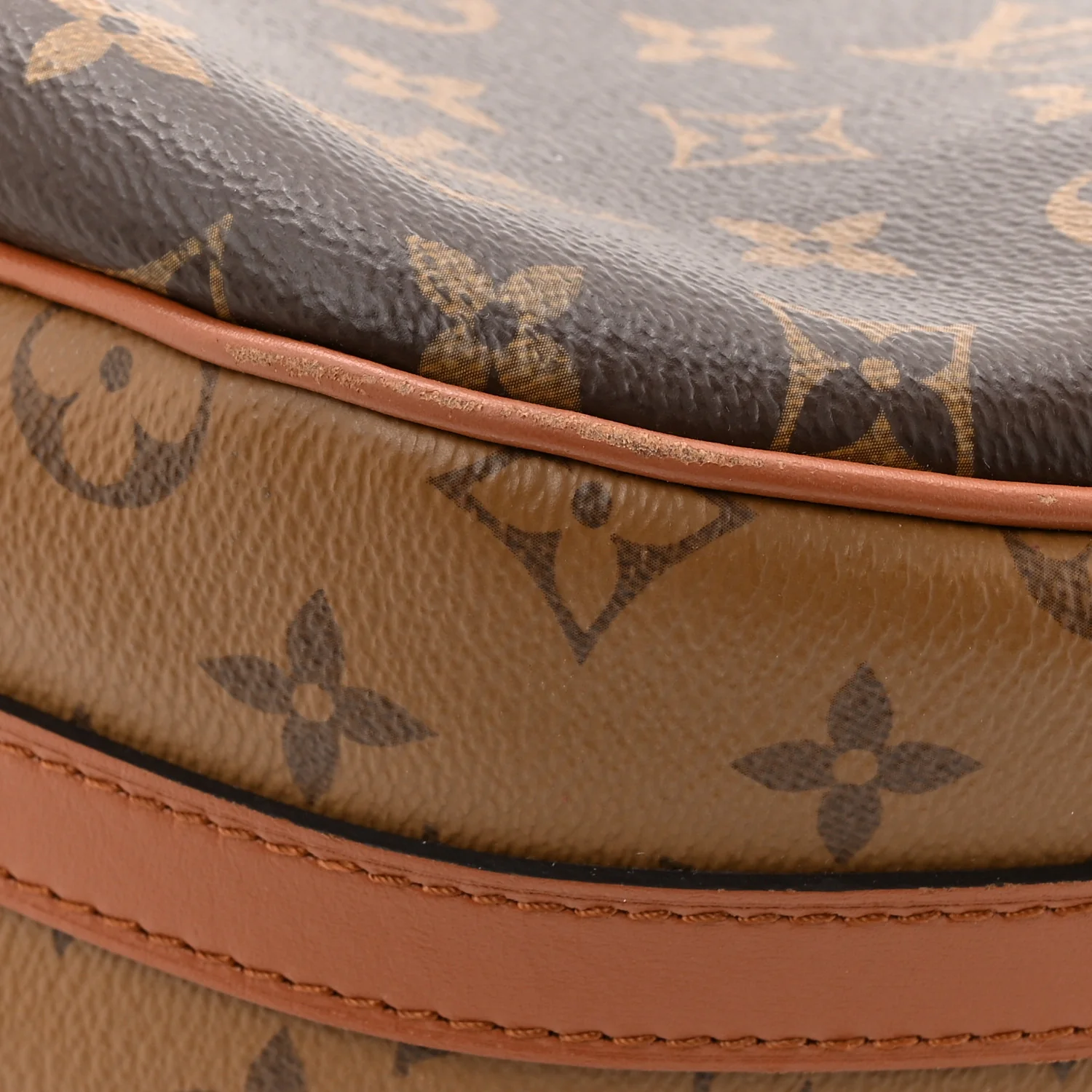 Reverse Monogram Loop Hobo - Image 14