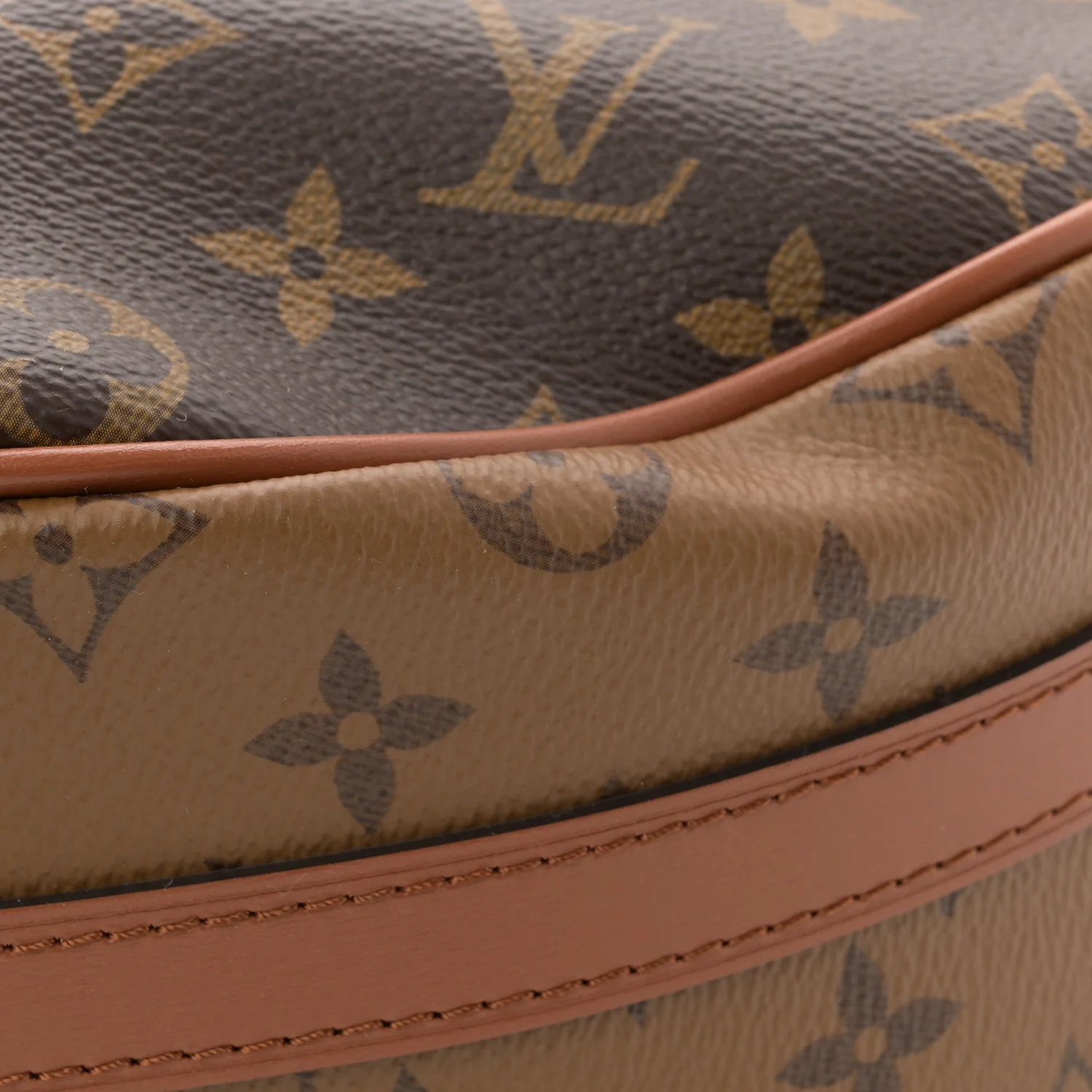 Reverse Monogram Loop Hobo - Image 11