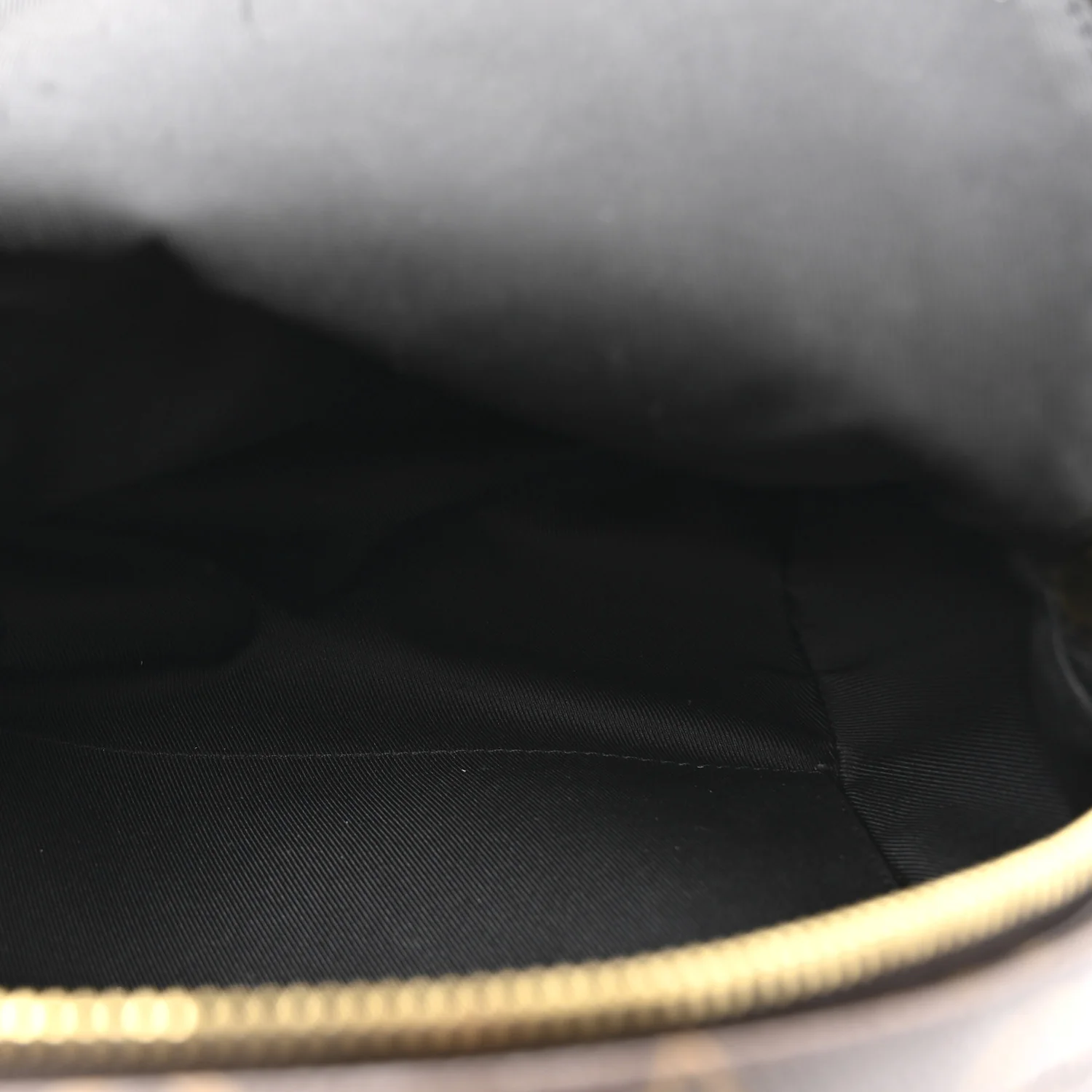Reverse Monogram Palm Springs Backpack PM - Image 5