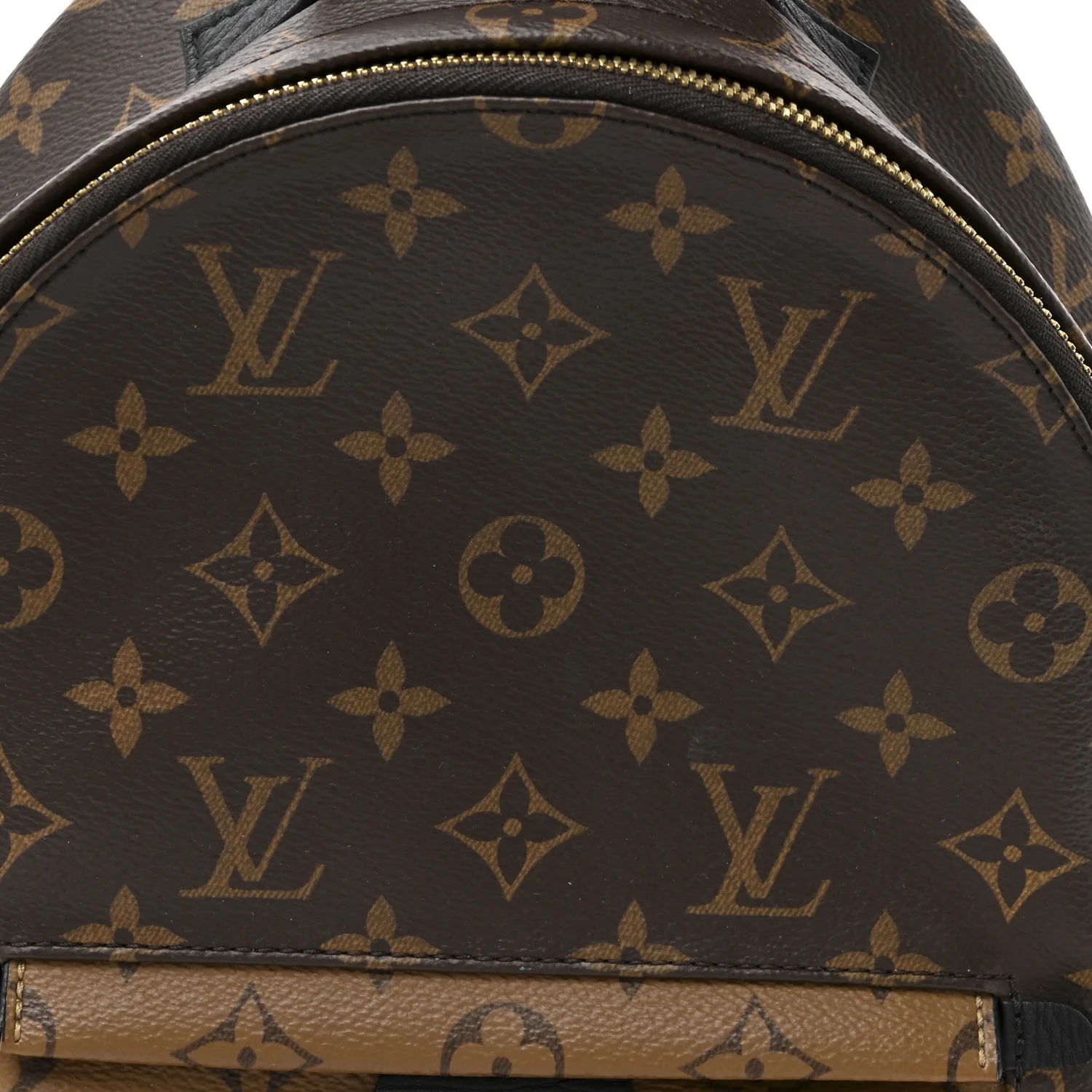 Reverse Monogram Palm Springs Backpack PM - Image 7