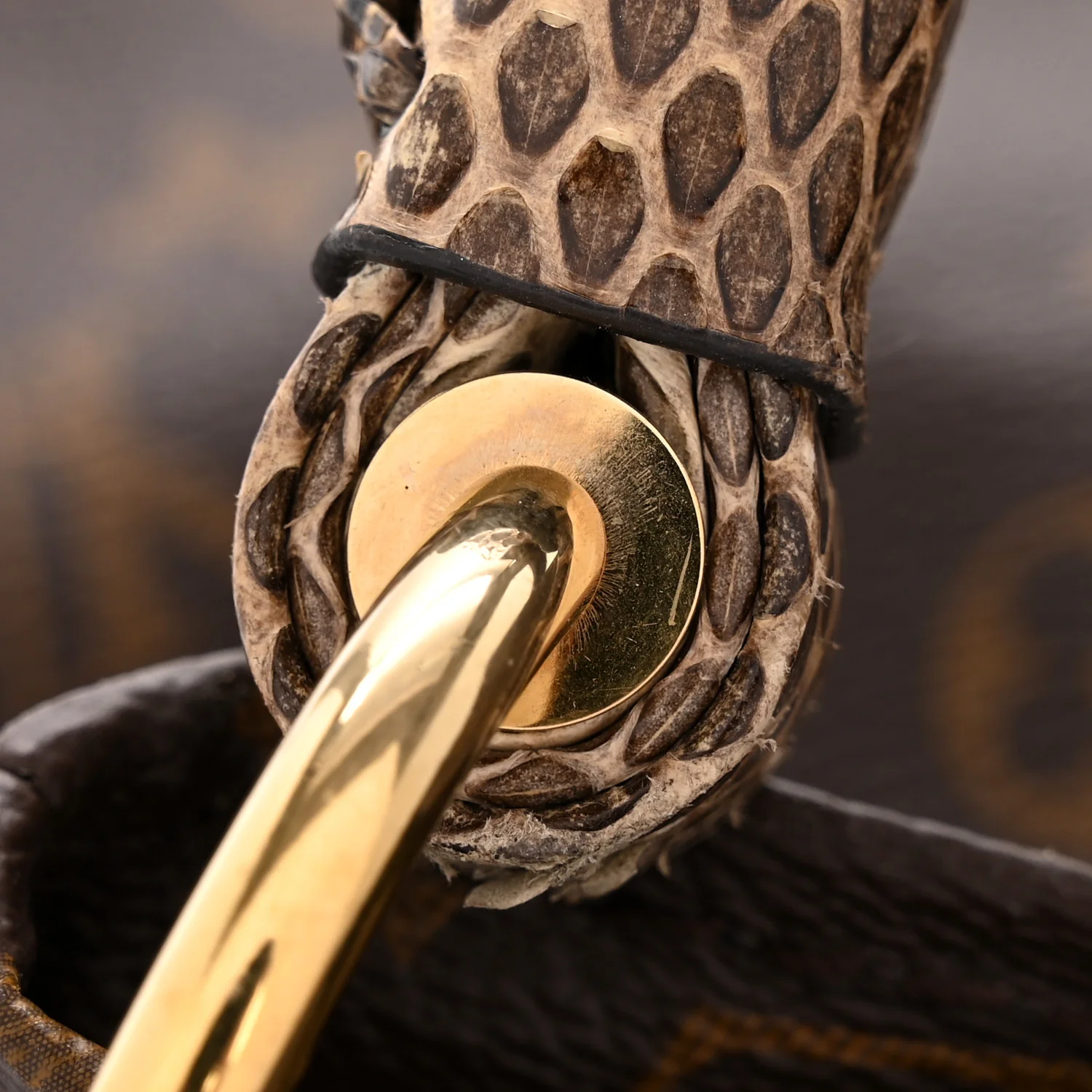 Snakeskin Monogram Artsy MM - Image 12