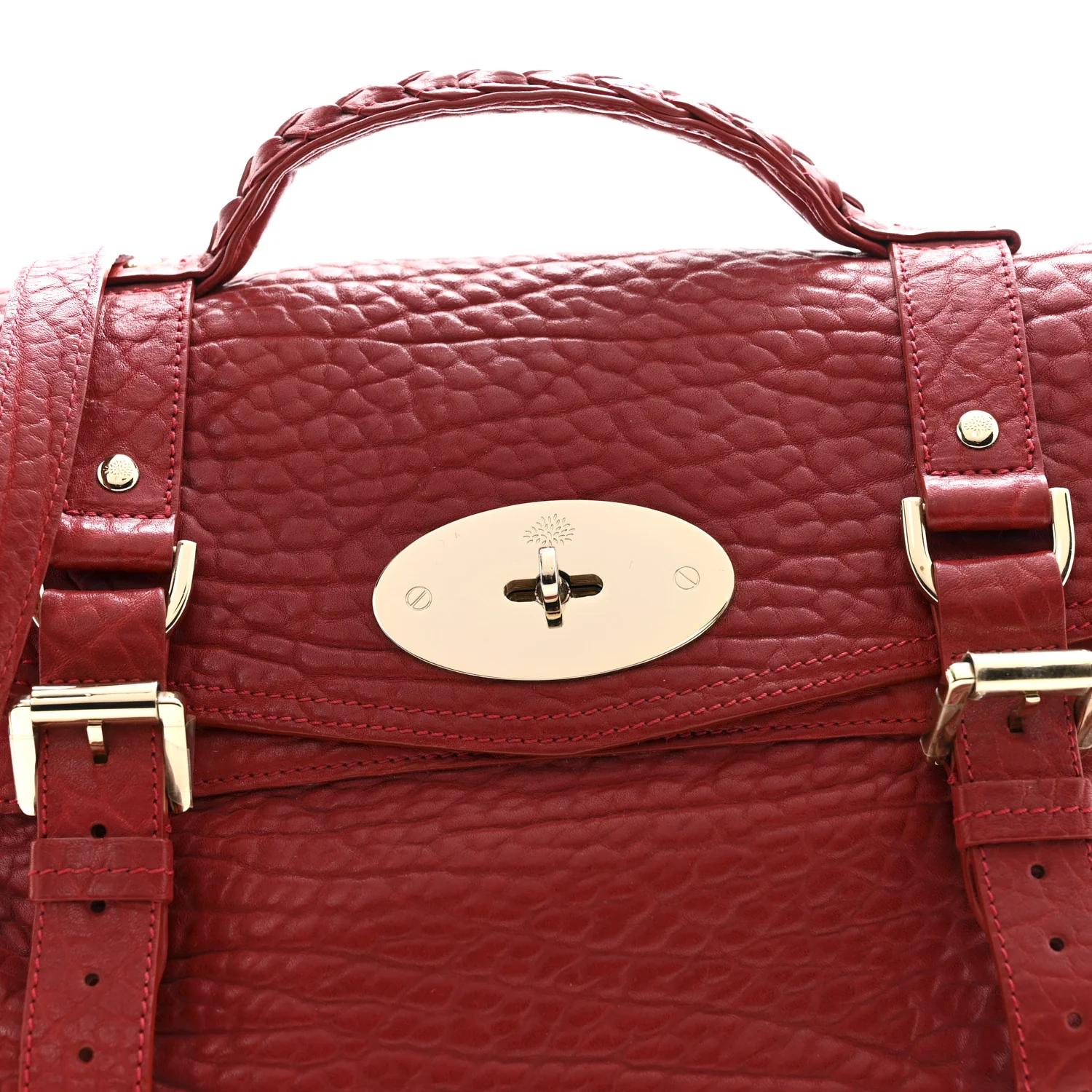 Shrunken Calfskin Medium Alexa Red - Image 14