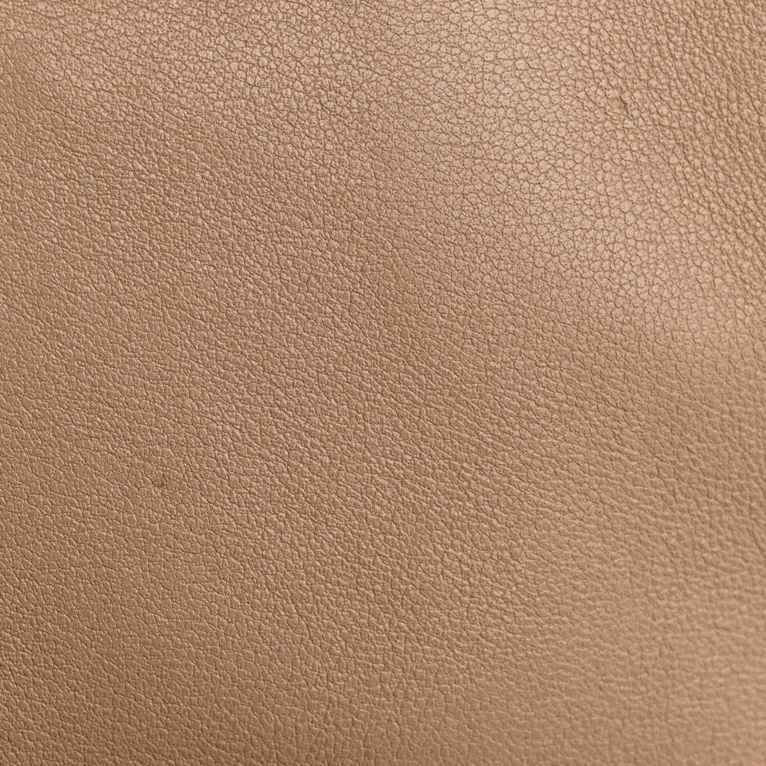 Lambskin Quilted Medium Loulou Puffer Monogram Chain Satchel Dark Beige - Image 11
