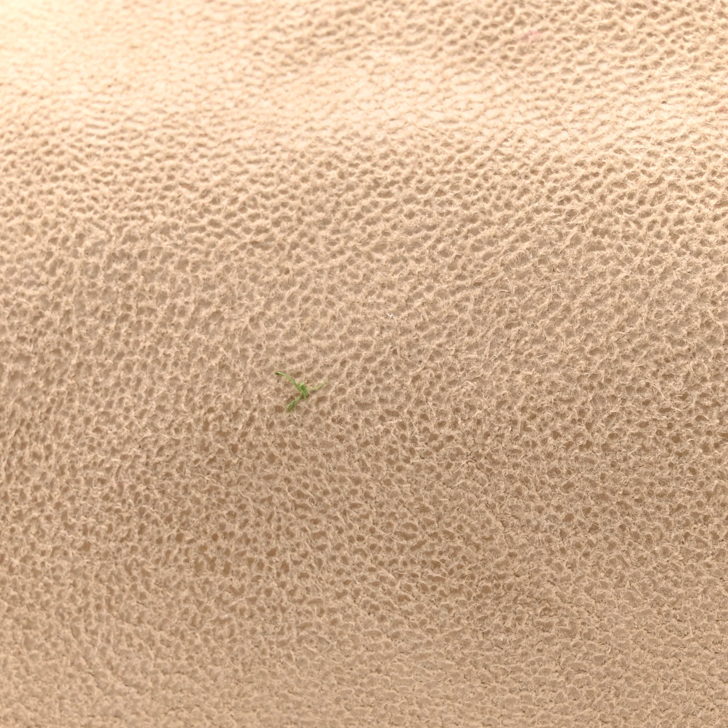 Shaggy Deer Mini Falabella Fold Over Tote Beige - Image 12